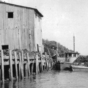 South Carolina Oyster Industry: A History