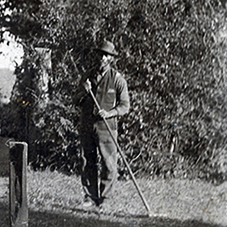 Former slave to the Furman family, Abraham, stands under a tree with a rake