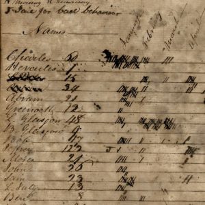 Roslin Plantation Journal, 1807-1814