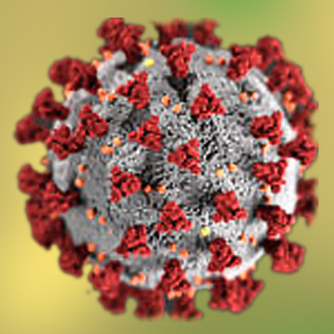 Image of COVID 19 virus